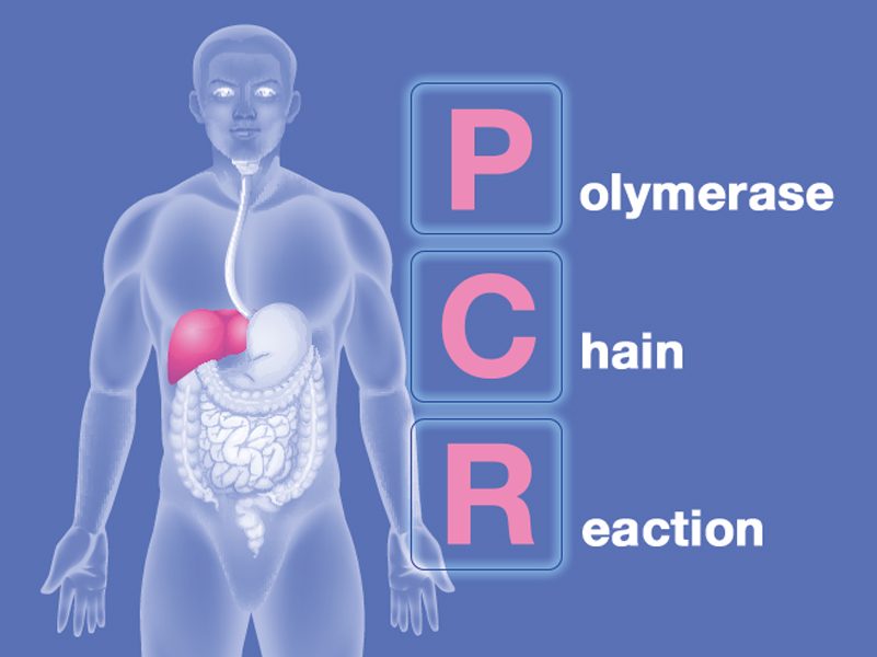 Proteina C Reattiva (PCR): cos’è e come monitorare i valori